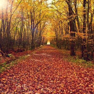 FB_IMG_1431496802150